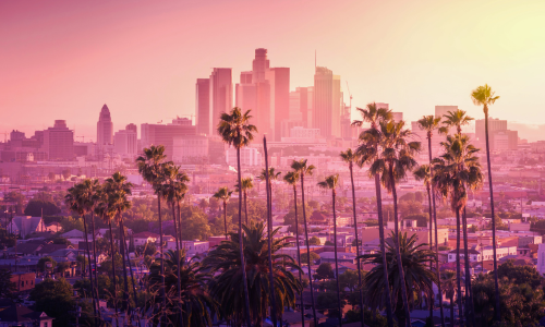 palm trees and skyline of los angeles, ca