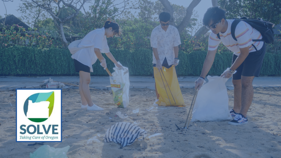 GROUP OF PEOPLE FILLING TRASH BAGS