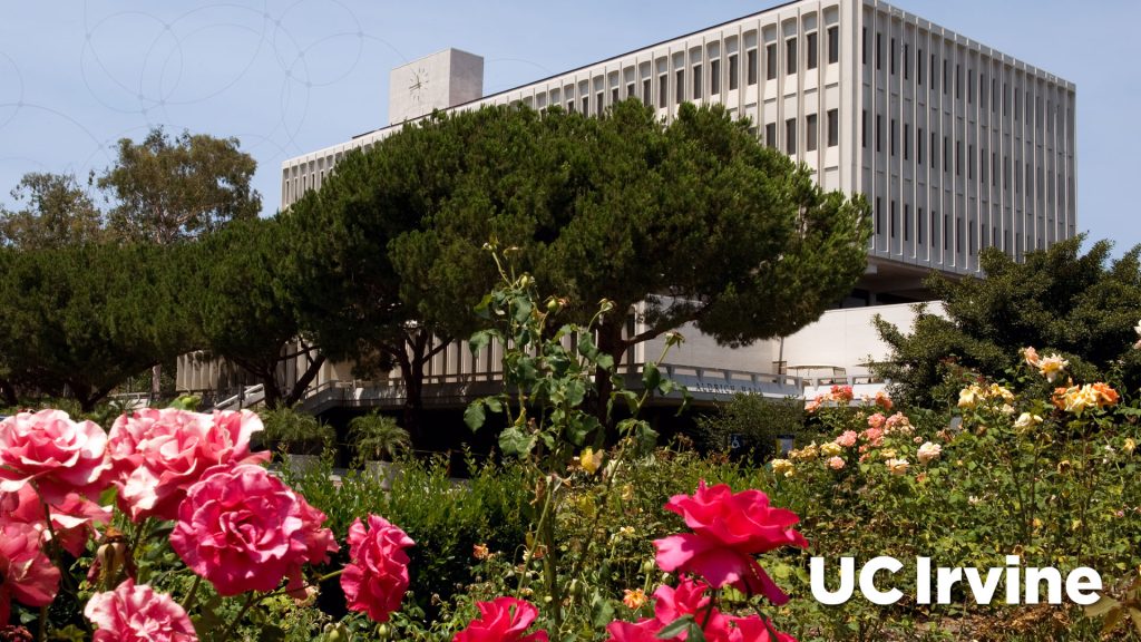 Roses in front of Aldrich Hall