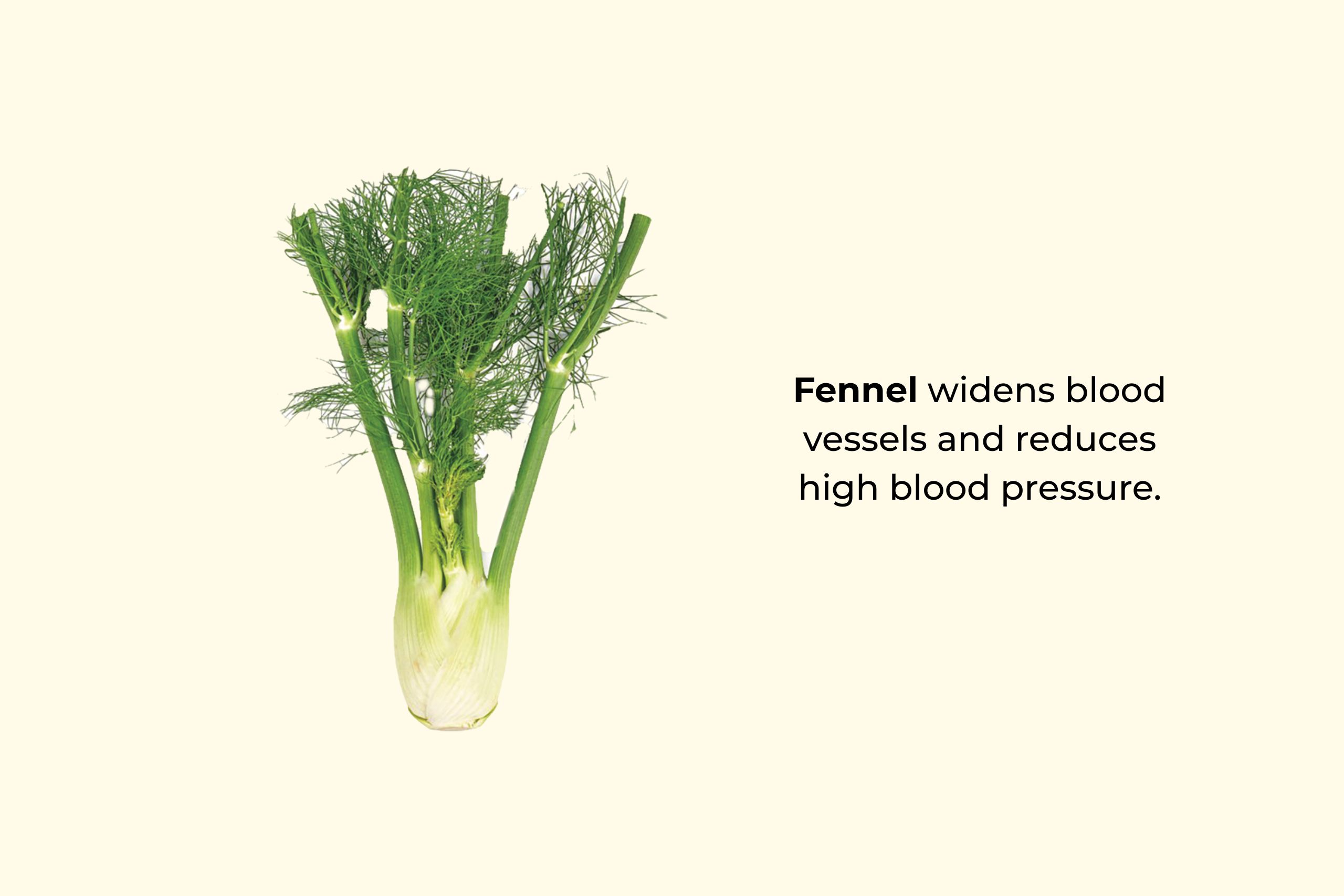 Fennel widens blood vessels and reduces high blood pressure.