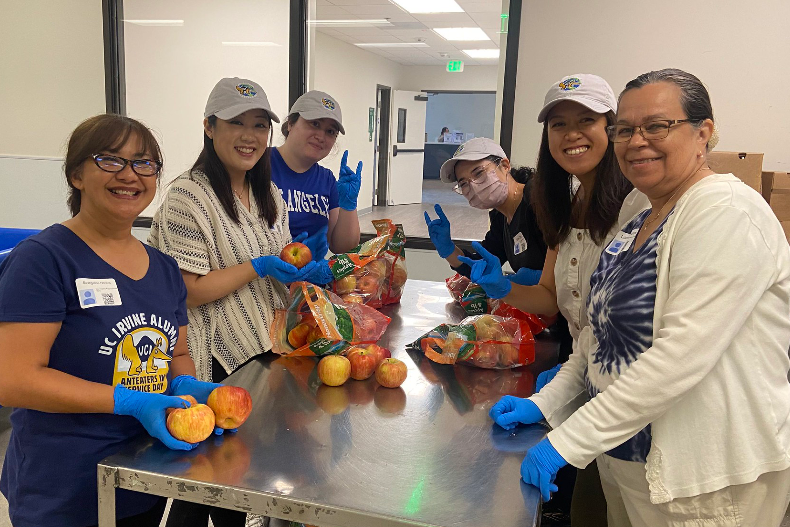 Six volunteers wearing gloves and UCI Alumni-branded apparel gather around a stainless-steel table while sorting and bagging apples. Several bags of produce and loose apples are arranged on the table.