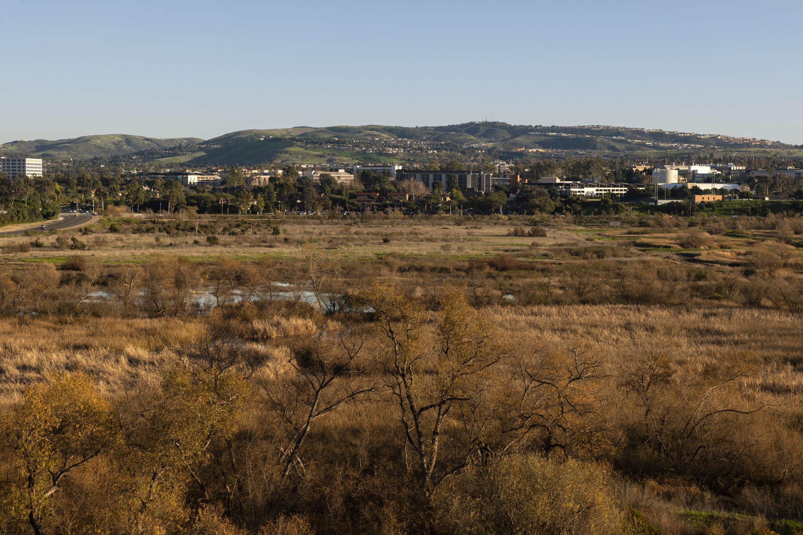 A view of San Joaquin Marsh