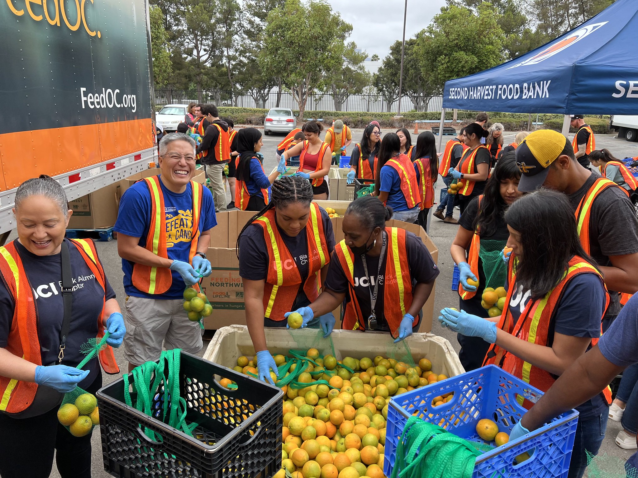 Anteaters volunteered at the Second Harvest Foodbank in Orange County preparing 7,000 lbs. of oranges for distribution.