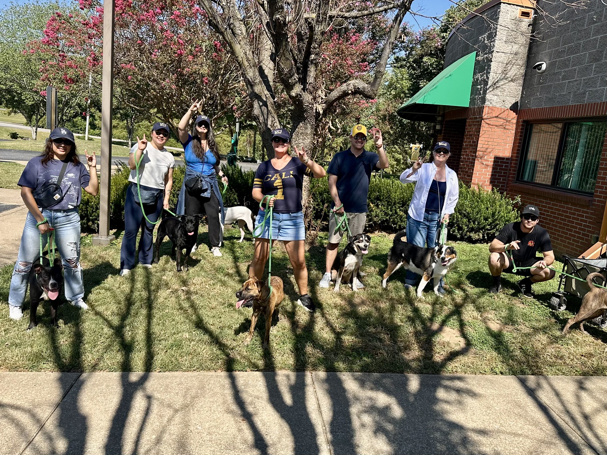 Dedicated alumni volunteers in Nashville walked their own shelter dog 2 miles and agreed to meet up quarterly to walk them together. Each volunteer took pictures of 20 available shelter dogs and shared them on their social media, reaching 5,000+ people.