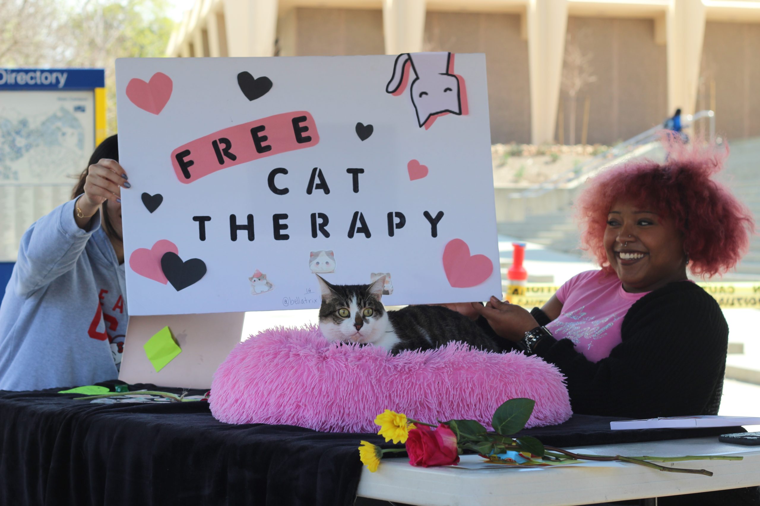 A student and cat sit at a table with a sign saying "Free Cat Therapy" during Happiness Week