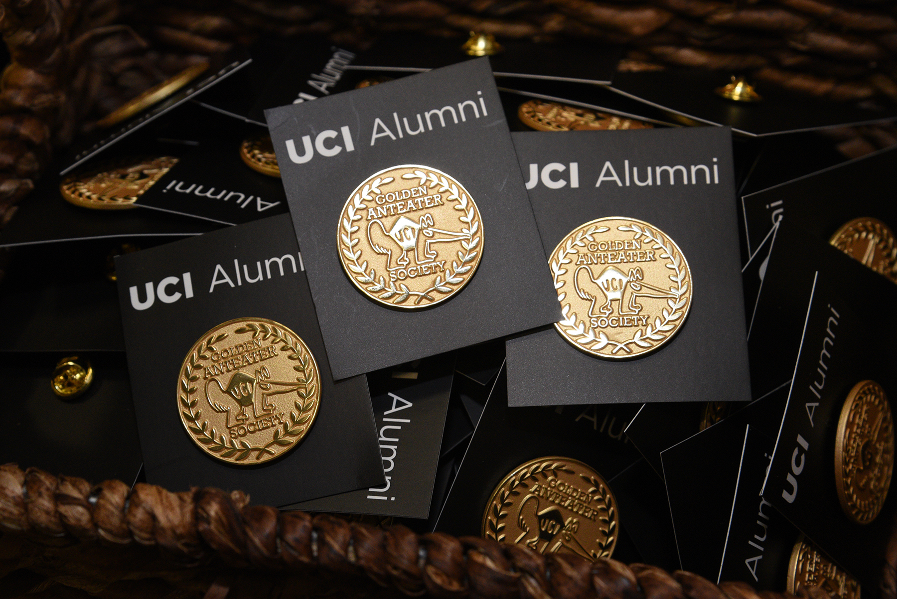 Gold Golden Anteater Society lapel pins displayed on UC Irvine Alumni backing cards.